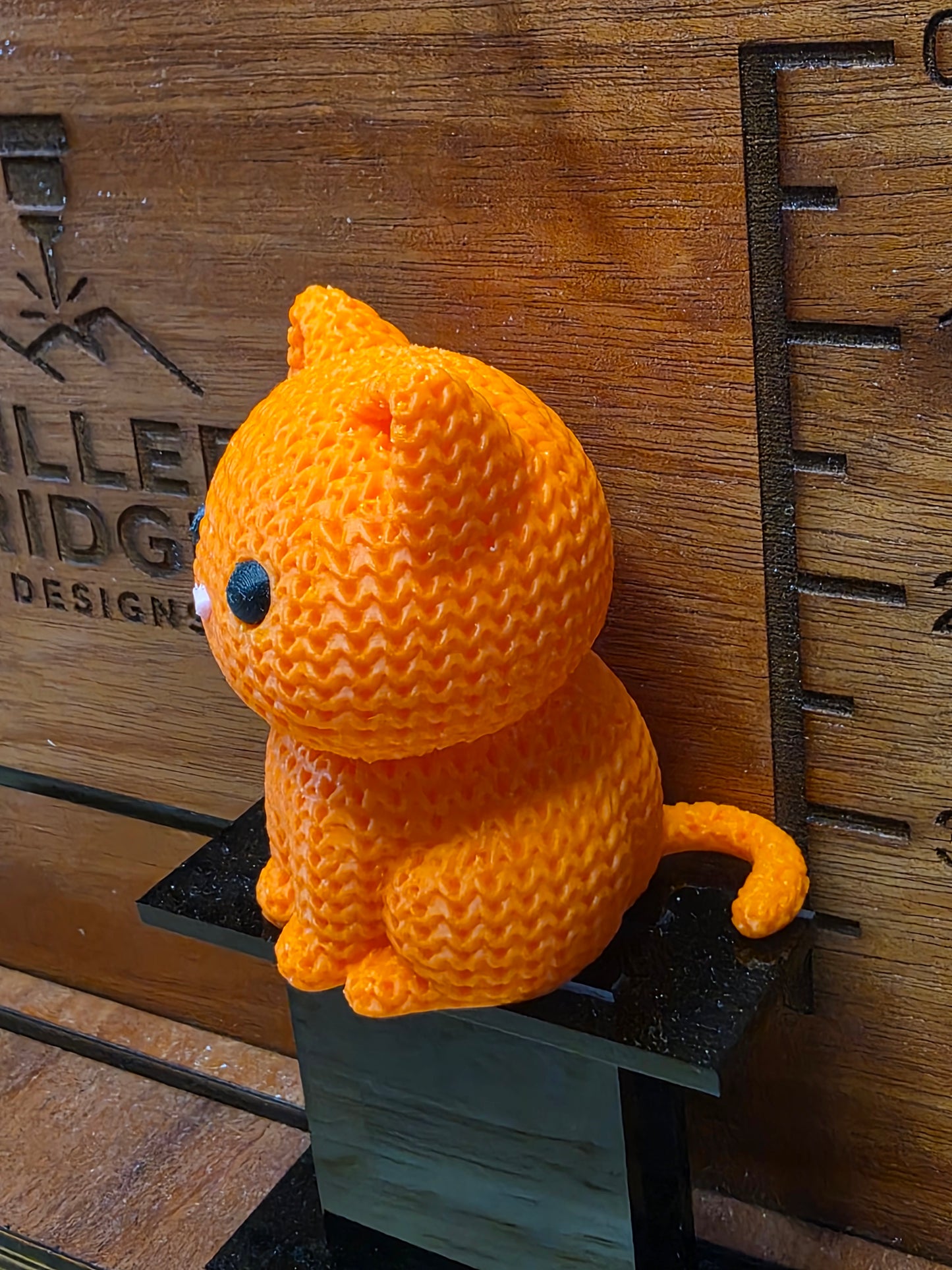 Orange Cat