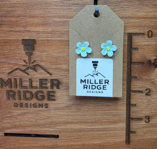 Light blue forget me not flowers