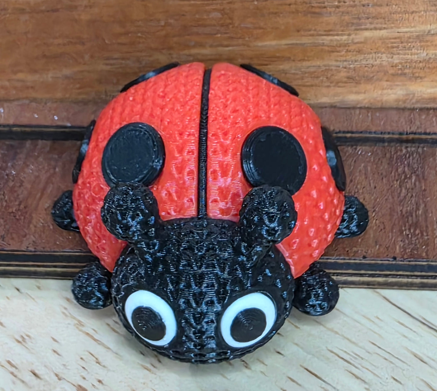 Ladybug