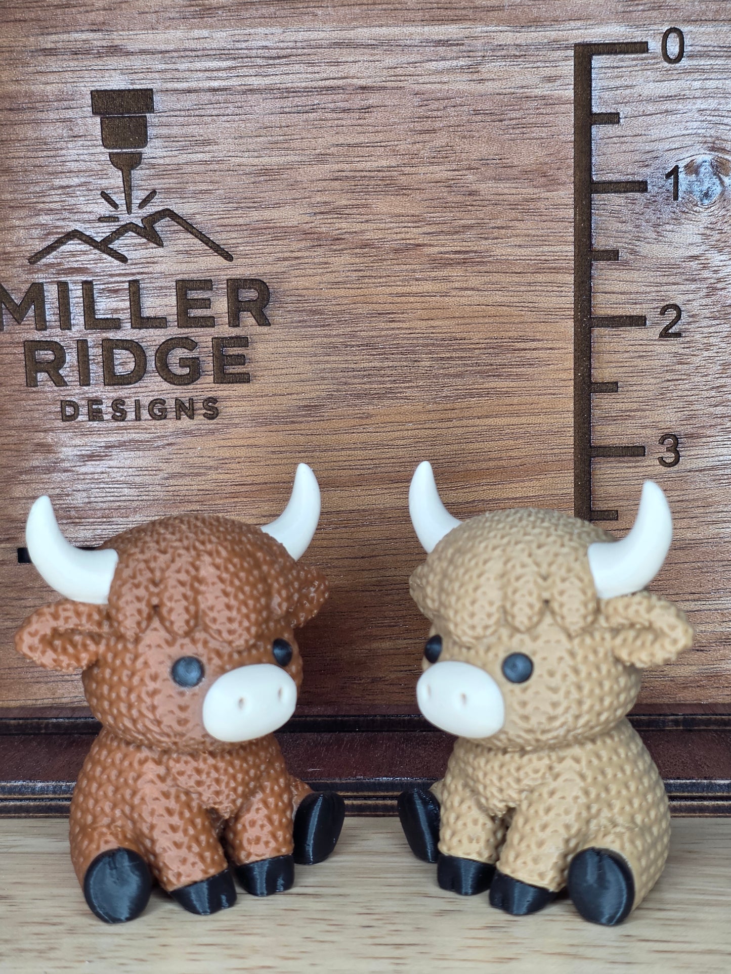 Highland cow
