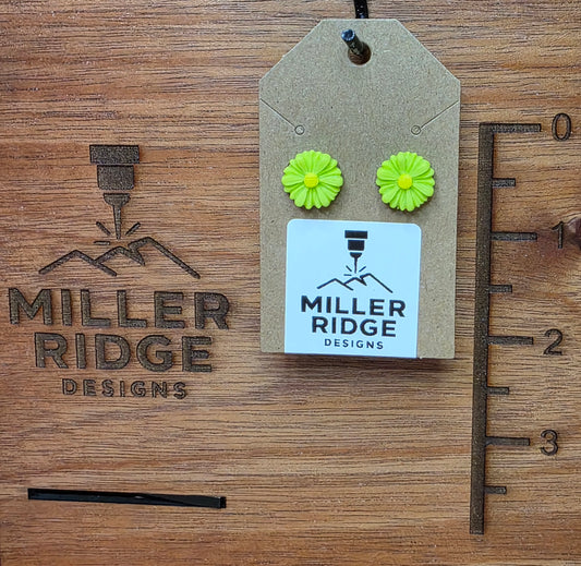 Lime green daisies