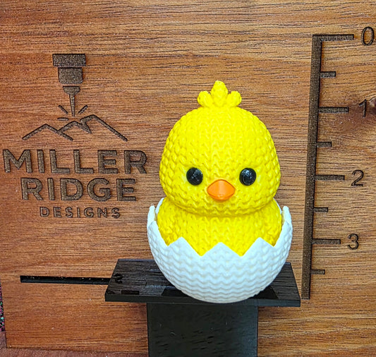 Hatched chick