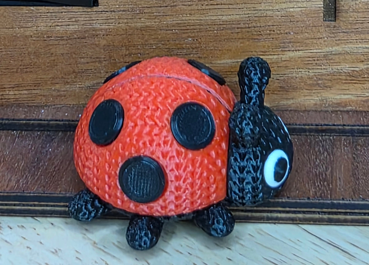 Ladybug