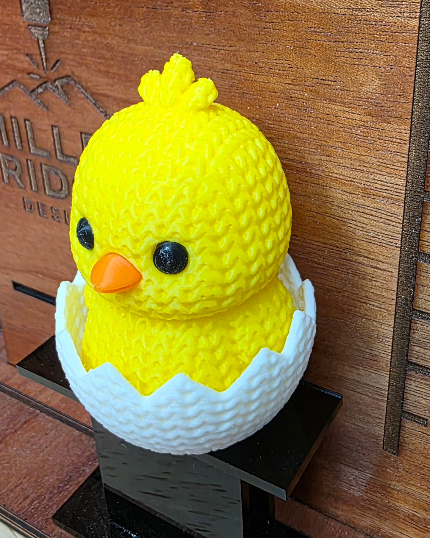 Hatched chick