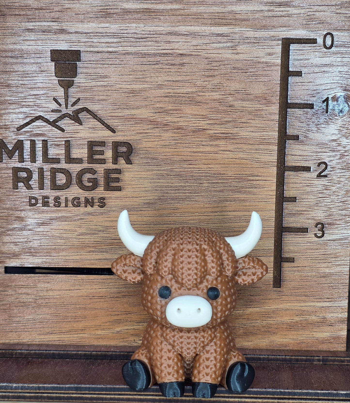 Highland cow