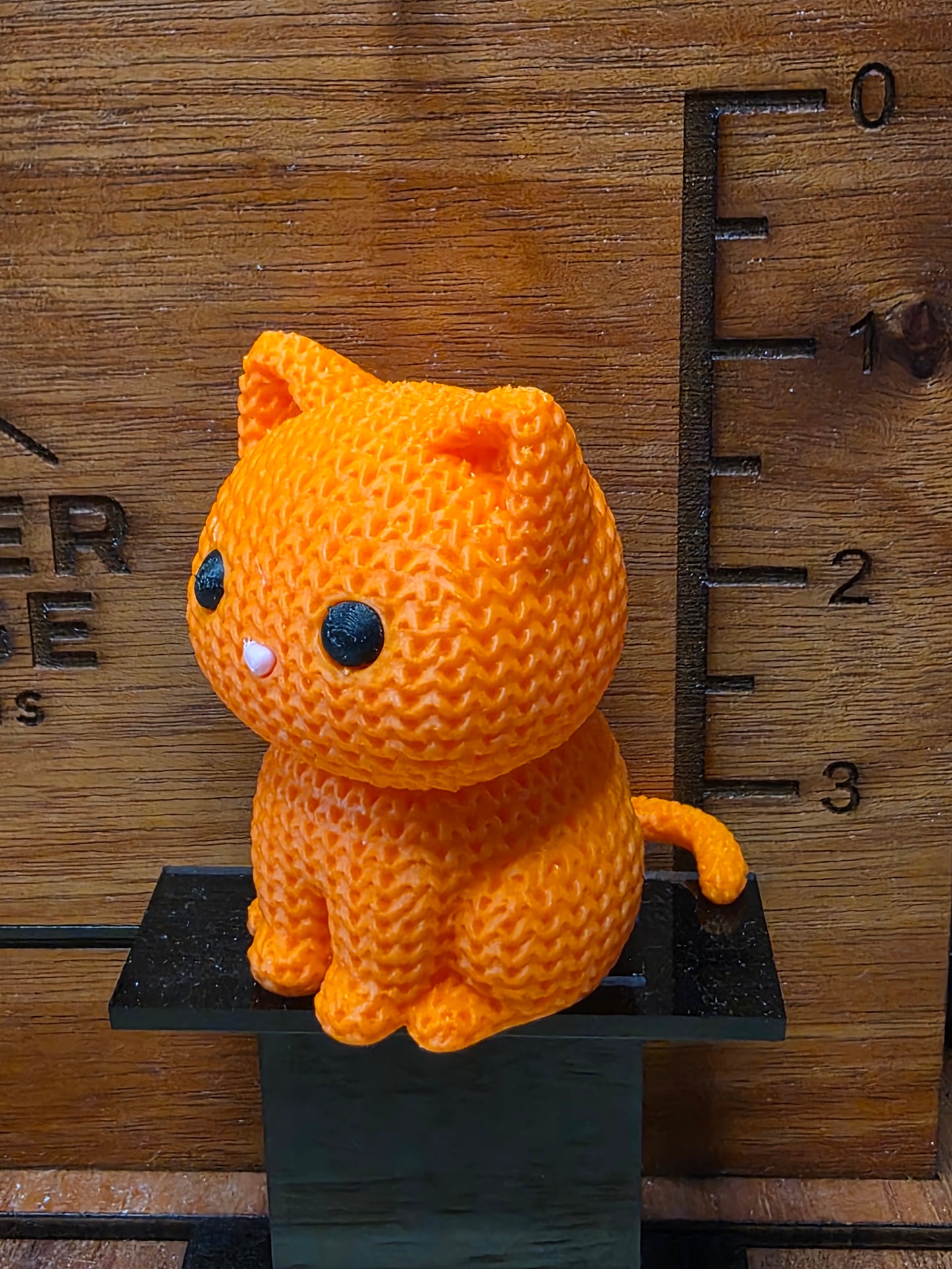 Orange Cat