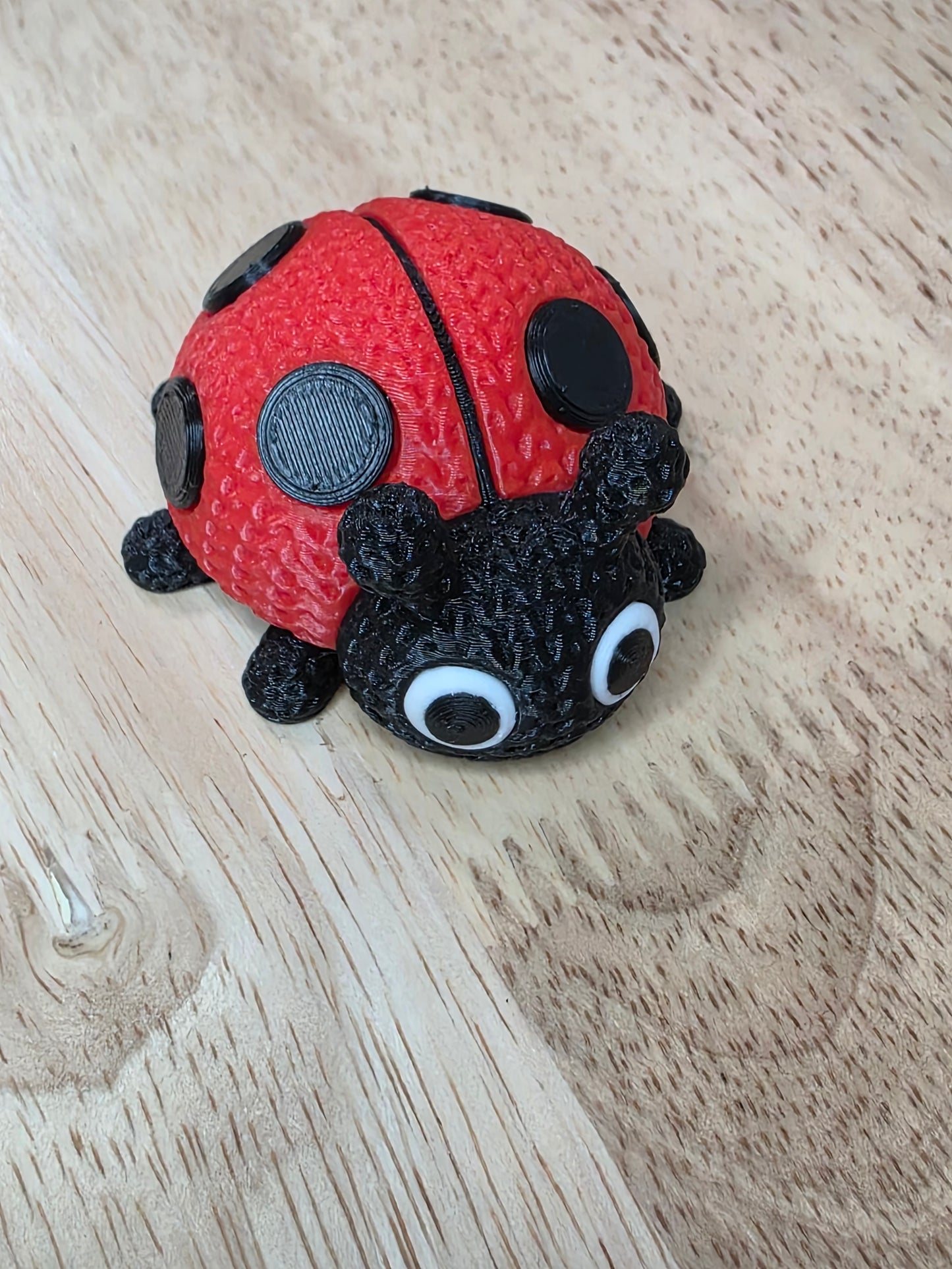 Ladybug