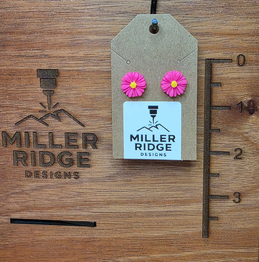 Hot pink daisies